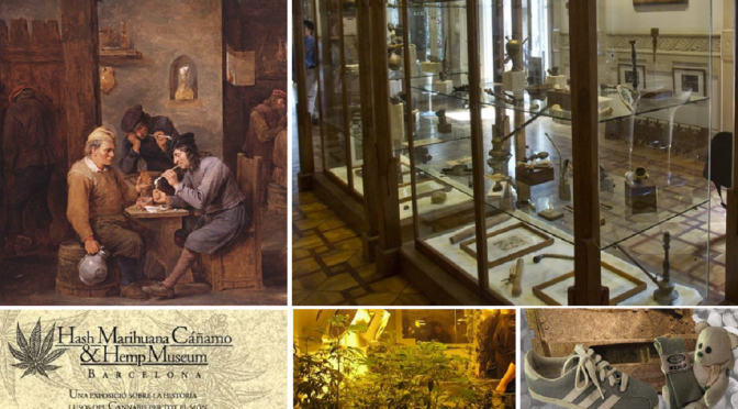 MUSEO DEL CANNABIS