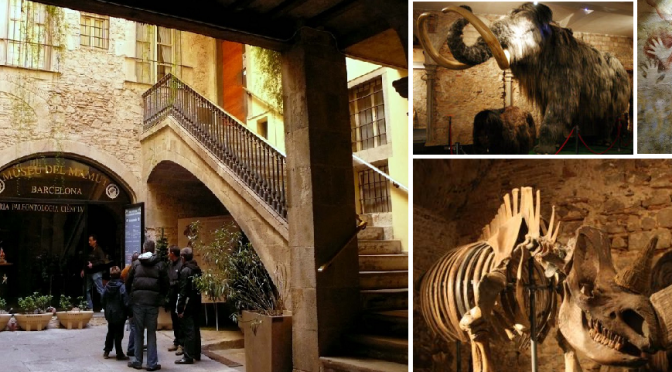 MUSEO DEL MAMUT